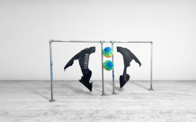 Artist Camille Rouzaud