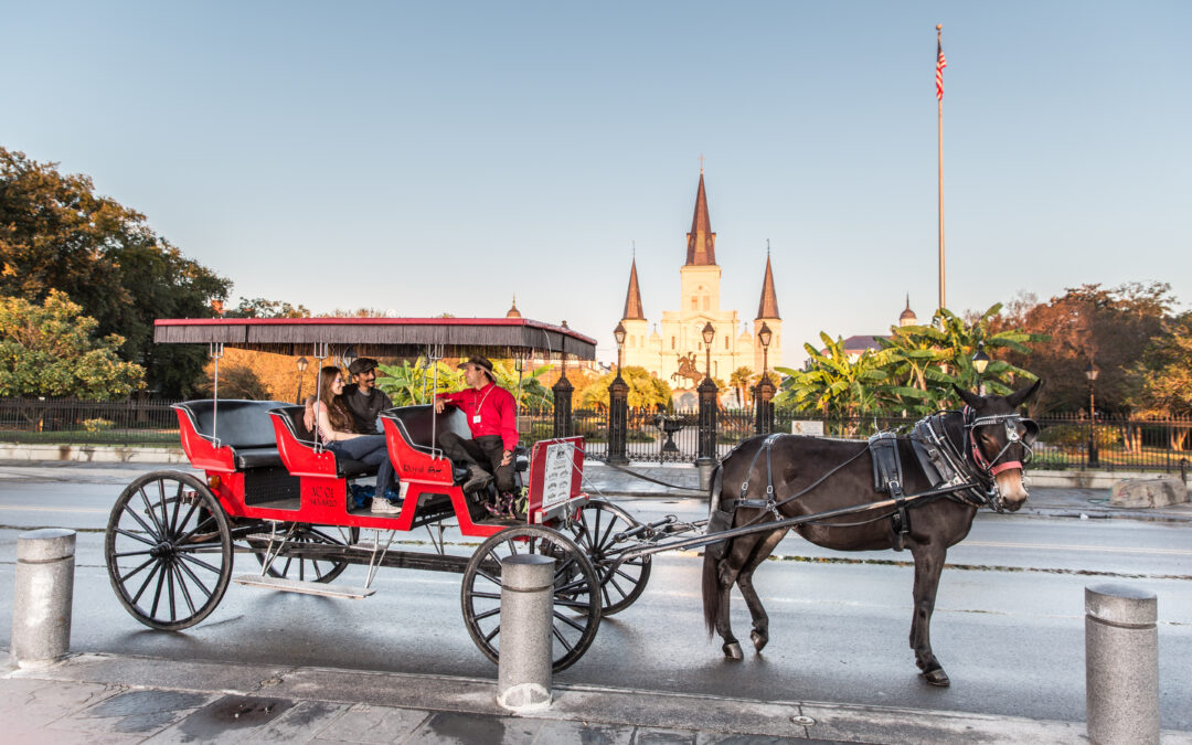 The Spirit of Louisiana: a new road trip itinerary