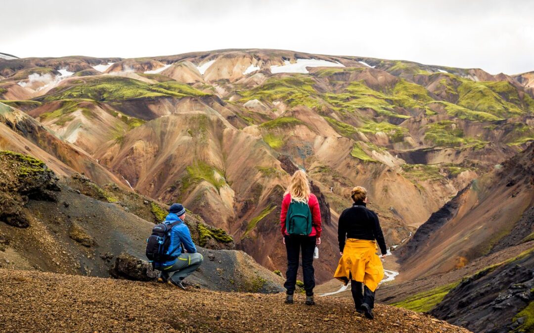 See the Wild Side of Iceland