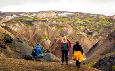 See the Wild Side of Iceland