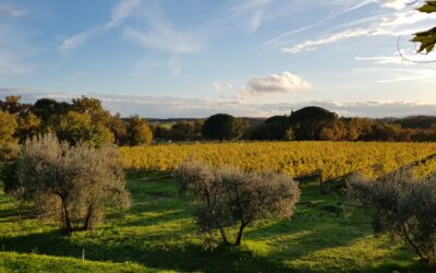 Umbria Top at Vinitaly 2025