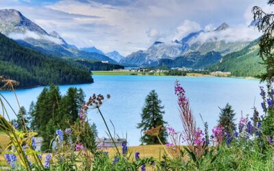 Reel to Real: Discover Destinations from Your Favourite Shows