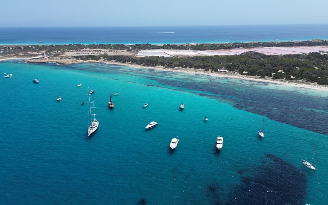 An Ibiza Preview of Ogami