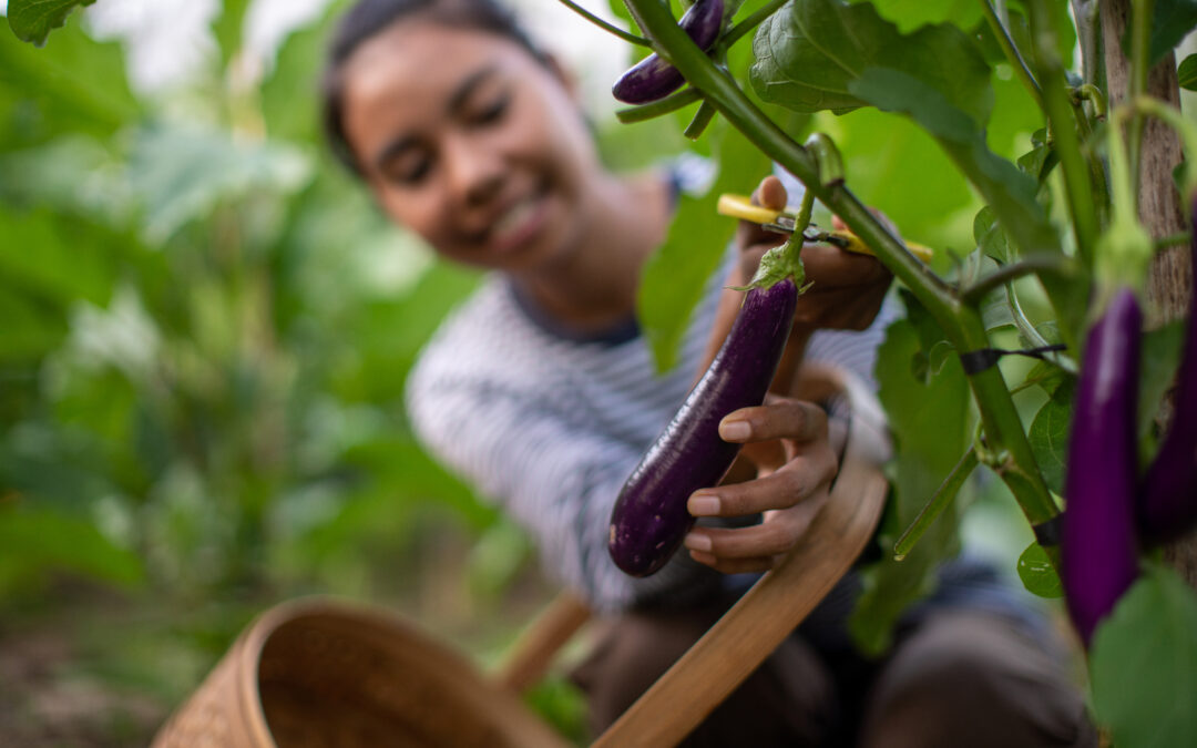 AYANA Bali Eliminates 52 Tons of Plastic Waste Annually