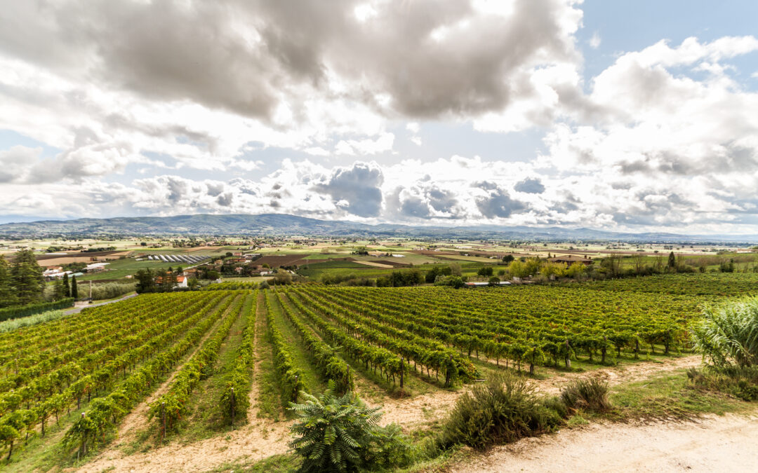 A Research Project to Discover Umbria’s Roots
