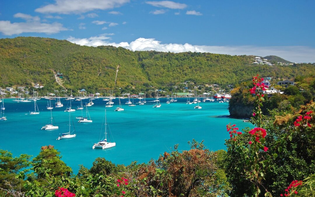 Two prime Caribbean markets join the Chestertons Global network