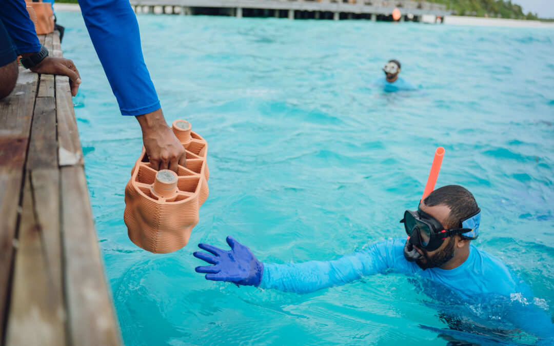 Ventive Hospitality’s Anantara Dhigu Maldives Unveils An Innovative New Age Reef Restoration Initiative